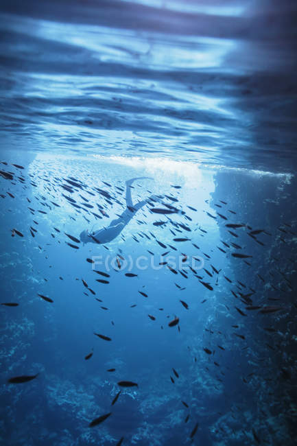 Жінка підводним плаванням під водою, серед риби, Vava'u, Тонга, Тихий океан — стокове фото