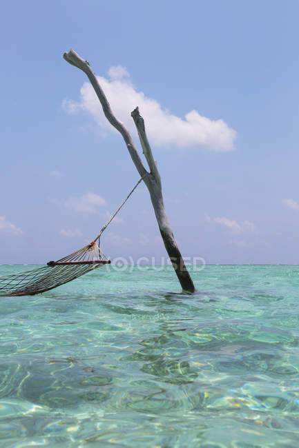 Hamaca colgando sobre el tranquilo océano azul, Maldivas, Océano Índico - foto de stock