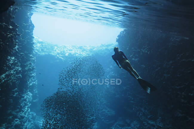 Jeune femme faisant de la plongée sous-marine parmi les bancs de poissons, Vava'u, Tonga, Océan Pacifique — Photo de stock