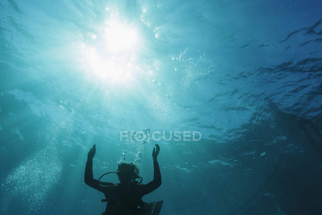 Woman scuba diving underwater, Vava'u, Tonga, Pacific Ocean — Stock Photo