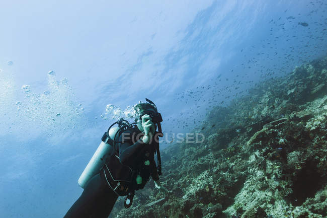 Portrait scuba diver underwater, Vava'u, Tonga, Pacific Ocean — Stock Photo