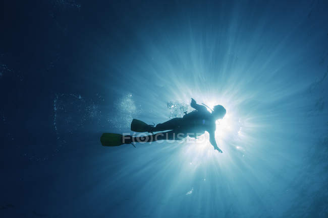Sol brillando detrás de la mujer buceo bajo el agua, Maldivas, Océano Índico - foto de stock