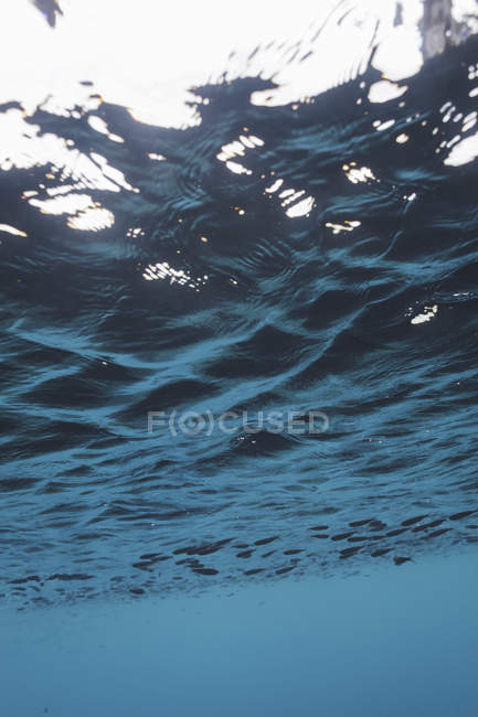 Eau sous-marine tranquille bleu océan, Vava'u, Tonga, Océan Pacifique — Photo de stock
