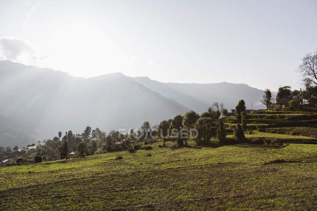 Ensoleillé, vue panoramique tranquille, Supi Bageshwar, Uttarakhand, Himalaya indien Foothills — Photo de stock