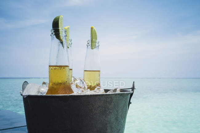 Ломтики лайма в пивных бутылках на льду на спокойном пляже океана, Мальдивы, Индийский океан — стоковое фото