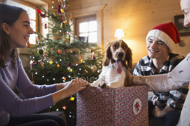 Joyeux famille avec chien dans la boîte cadeau de Noël — Photo de stock