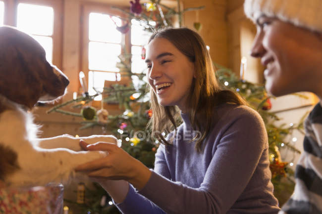 Feliz hermano y hermana jugando con perro en la sala de estar de Navidad - foto de stock
