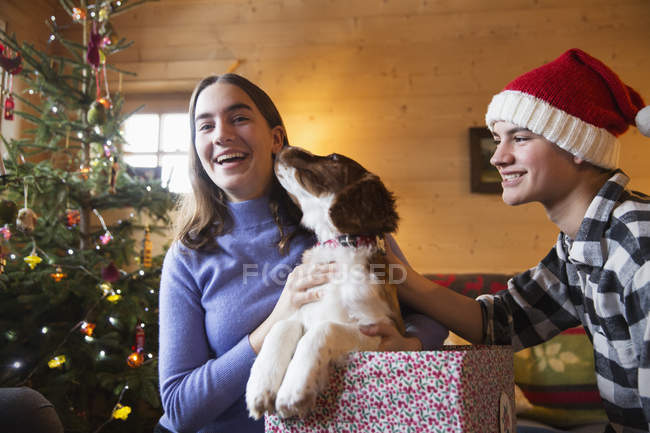 Retrato feliz hermano y hermana con perro en caja de regalo de Navidad - foto de stock