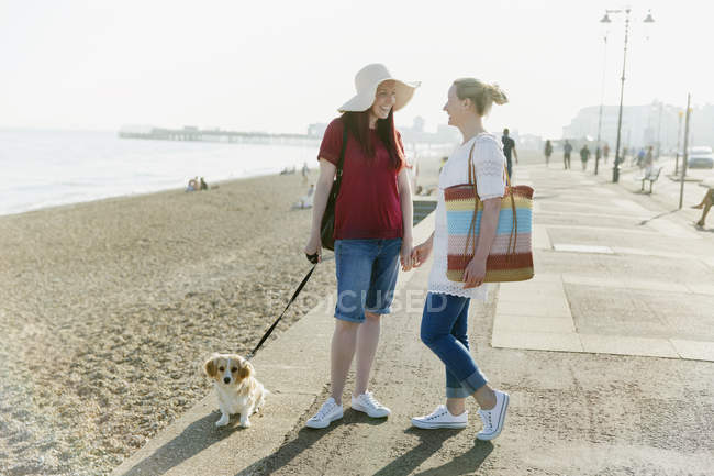 Lesbian couple with dog on sunny beach boardwalk — Stock Photo