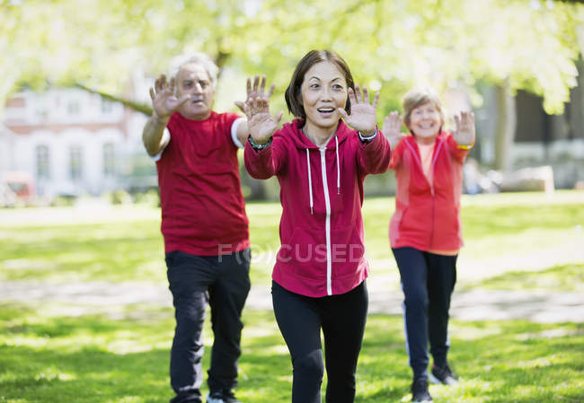 Personas mayores activas practicando tai chi en el parque - foto de stock