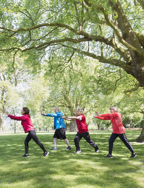 Активні літні люди практикують тай-чі в парку під деревом — стокове фото