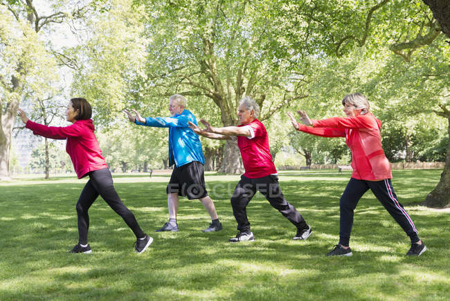 Amigos seniores ativos praticando tai chi no parque — Fotografia de Stock