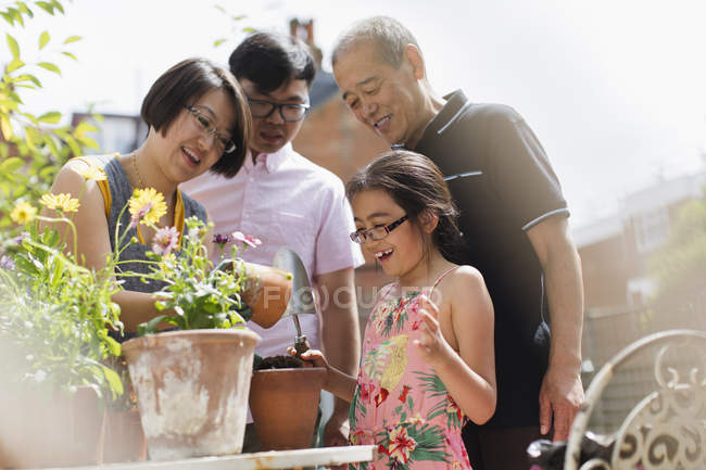 Jardinage familial multigénérationnel, mise en pot de fleurs dans une cour ensoleillée — Photo de stock