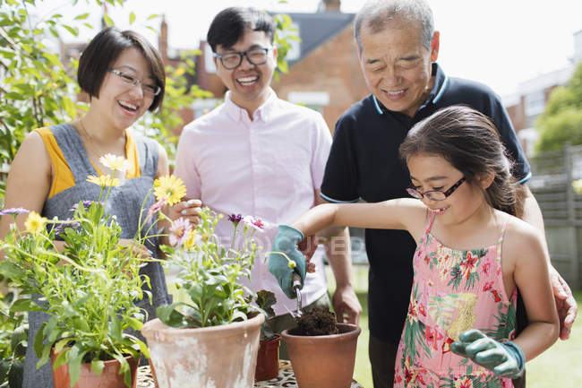 Семейное садоводство, цветочные горшки на солнечном дворе — стоковое фото
