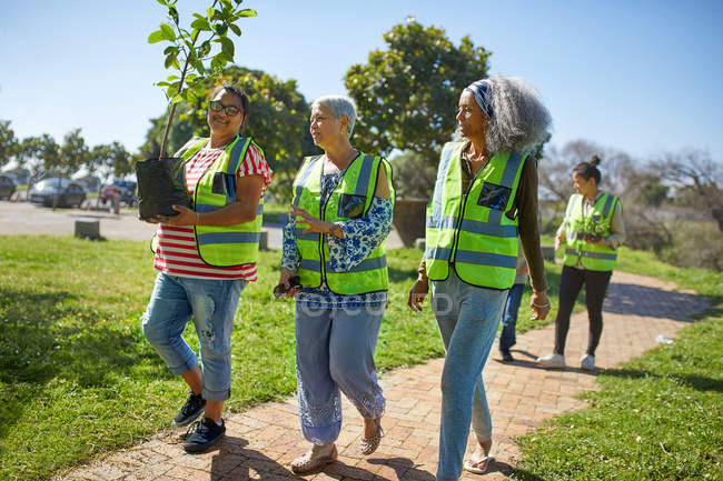 Des bénévoles femelles plantent un arbre dans un parc ensoleillé — Photo de stock