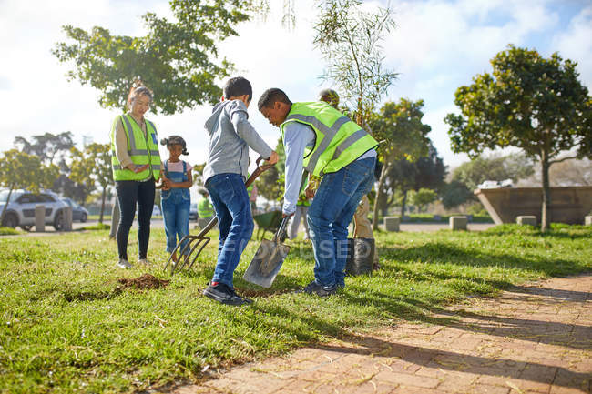 Добровольцы сажают деревья в солнечном парке — стоковое фото