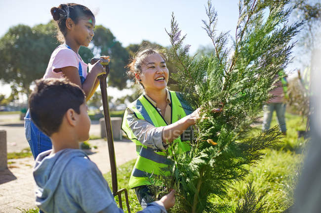 Mother and children volunteers planting tree in sunny park — Stock Photo