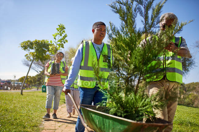 Volunteers planting trees in sunny park — Stock Photo