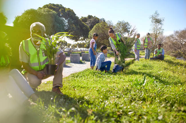 Freiwillige pflanzen Bäume im sonnigen Park — Stockfoto
