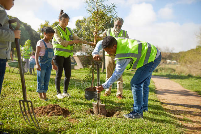 Des bénévoles plantent des arbres dans un parc ensoleillé — Photo de stock