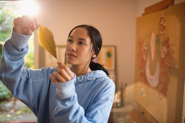 Женщина-художник осматривает осенний лист в художественной студии — стоковое фото