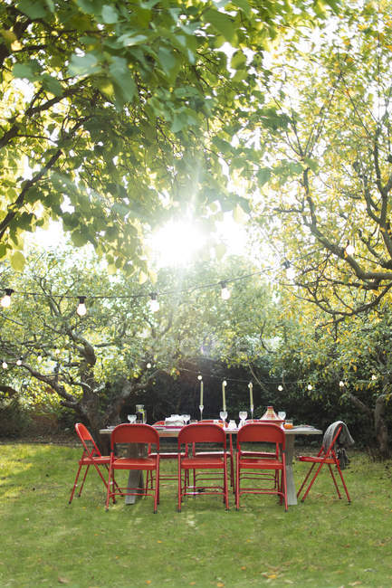 Солнце светит над деревьями и стол для вечеринок в саду на заднем дворе — стоковое фото