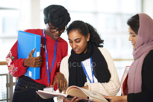Female college students studying — Stock Photo