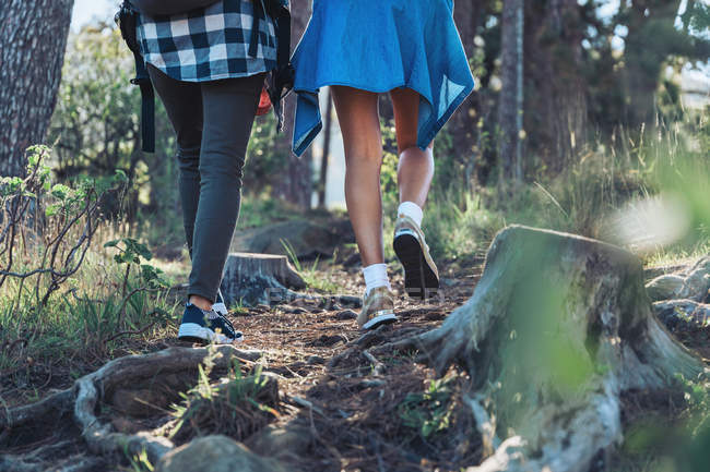 Imagen recortada de senderistas femeninas en el camino en el bosque - foto de stock