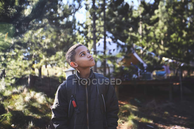 Menino curioso caminhadas na floresta — Fotografia de Stock