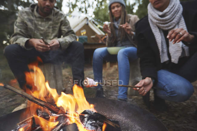 Malvaviscos de asado familiar en la fogata del camping - foto de stock