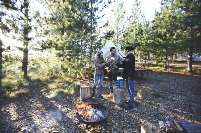 Amici che bevono vino al campeggio soleggiato nel bosco — Foto stock