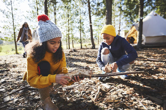 Frère et sœur ramassant du bois de chauffage au camping dans les bois ensoleillés — Photo de stock
