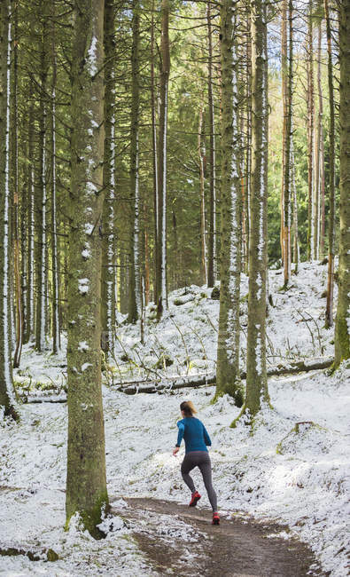 Visão traseira da mulher correndo em bosques nevados — Fotografia de Stock