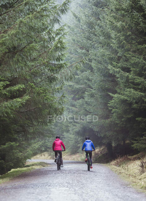 Vista trasera de Pareja ciclismo de montaña en bosques - foto de stock