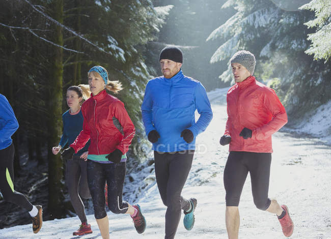 Amigos corriendo en la nieve - foto de stock