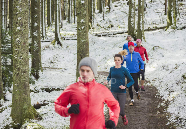 Amici che fanno jogging nei boschi innevati — Foto stock