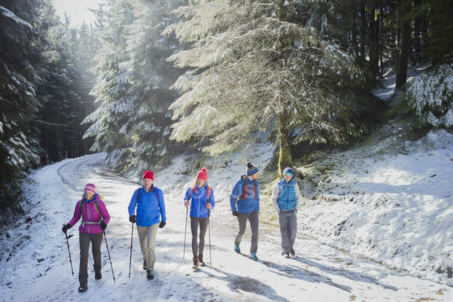 Caminhadas familiares em bosques nevados — Fotografia de Stock