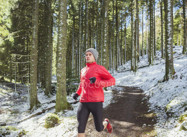 Man jogging in snowy woods — Stock Photo