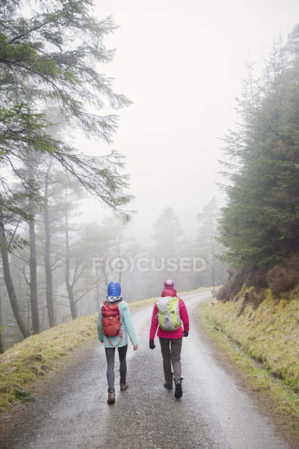 Back view of Women hiking in rainy woods — Stock Photo