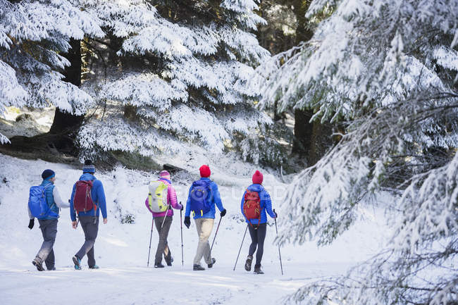 Family hiking in snowy woods — Stock Photo
