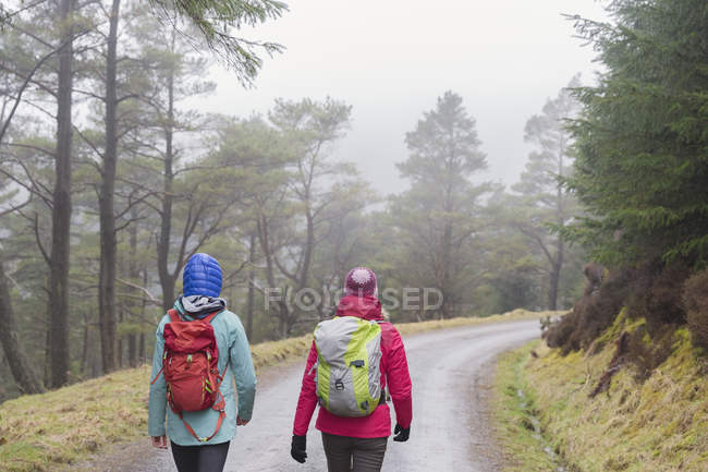 Vue arrière de la randonnée des femmes dans les bois — Photo de stock
