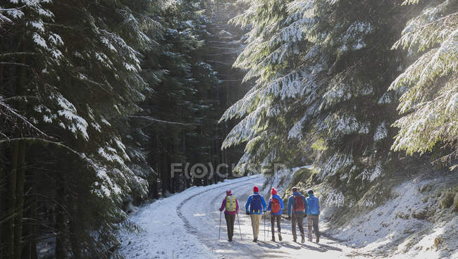Senderismo familiar en bosques nevados - foto de stock