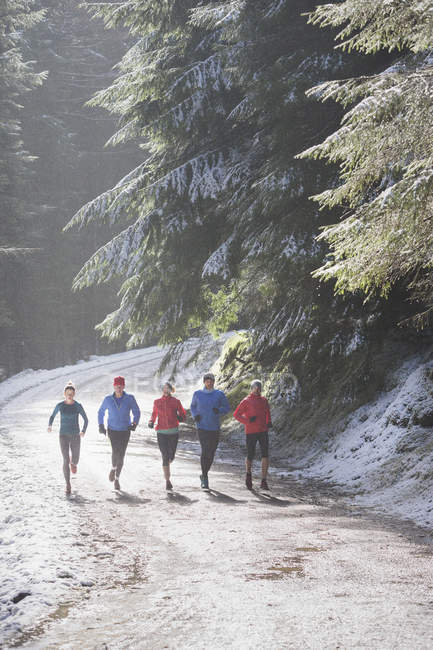 Family jogging in snowy woods — Stock Photo
