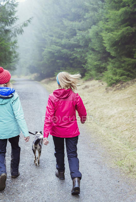 Visão traseira de mulheres com cão caminhadas na floresta — Fotografia de Stock