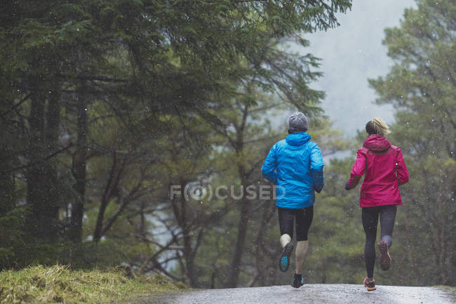 Rückansicht des Paares beim Joggen im Wald — Stockfoto