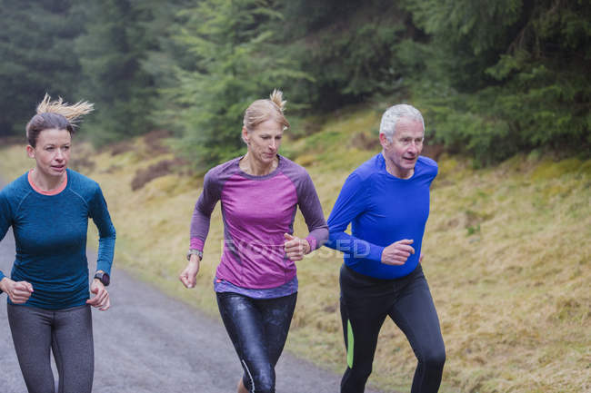 Family jogging in woods — Stock Photo