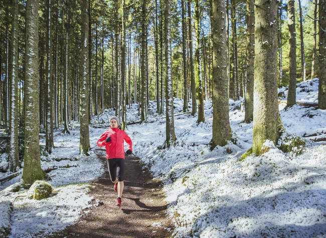 Uomo che fa jogging nei boschi innevati — Foto stock