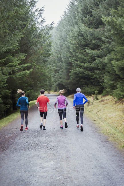 Visão traseira da família correndo em bosques — Fotografia de Stock