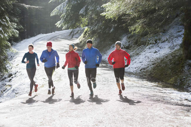 Família correndo em bosques nevados — Fotografia de Stock