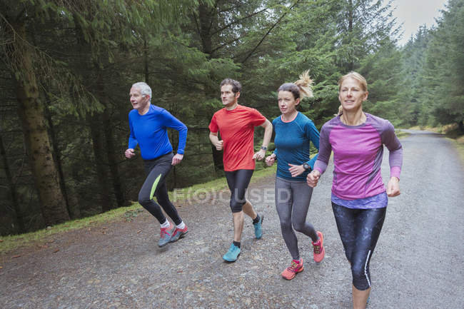 Jogging en famille dans les bois — Photo de stock